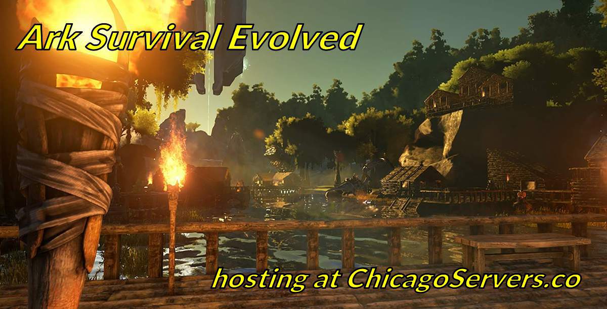 chicagoservers.co