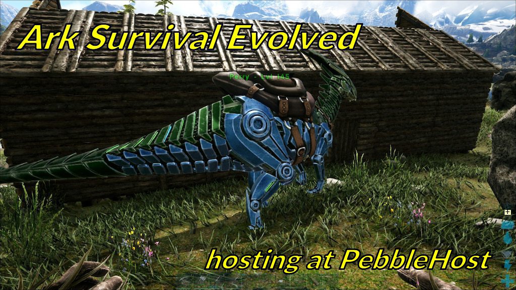 pebblehost.com