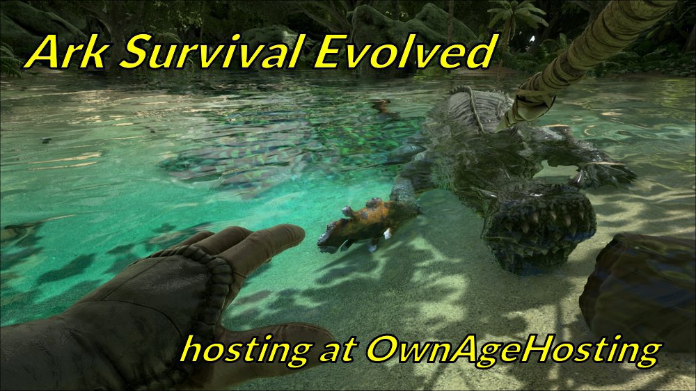 ownagehosting.com