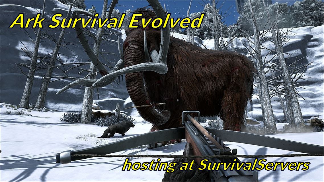 survivalservers.com